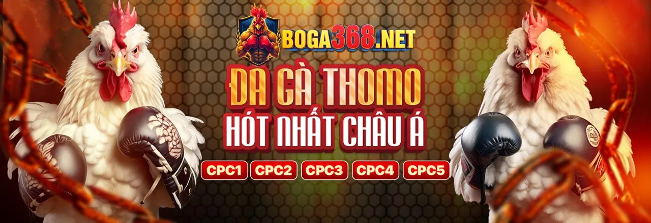 Đá Gà 88 Trực Tiếp