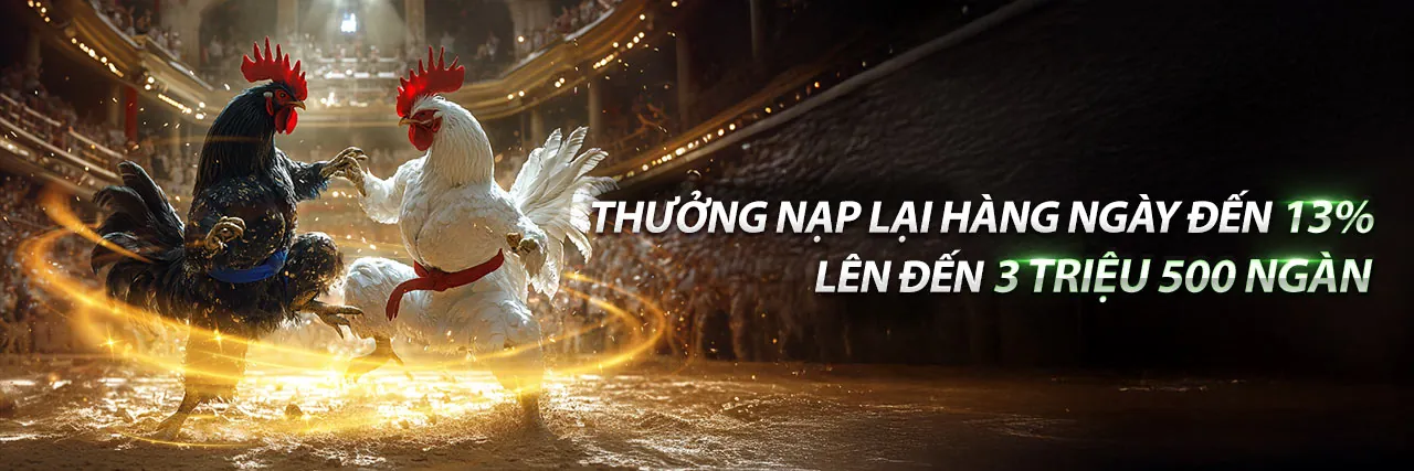 Hình nền hỗ trợ Đá Gà 88