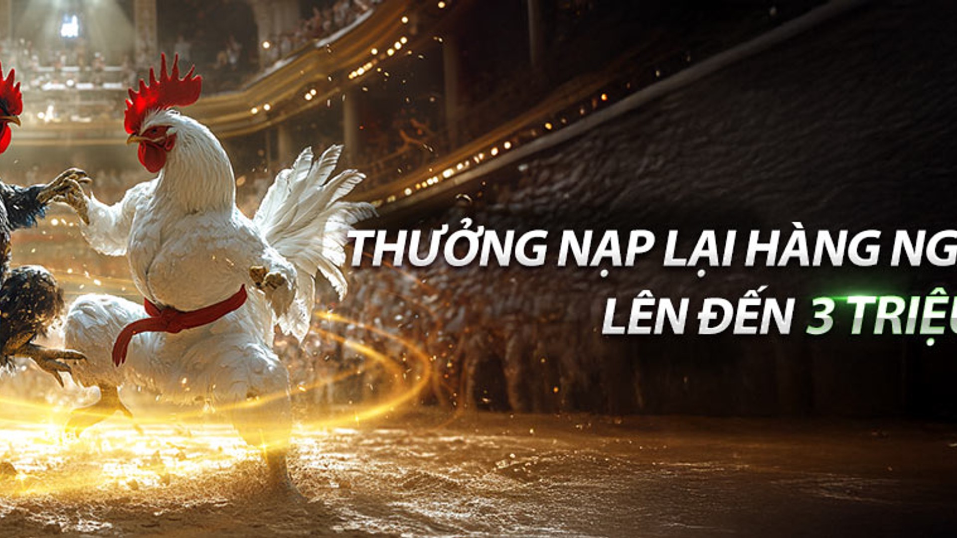 Sân đấu đá gà 88 sôi động, biểu tượng cho tầm nhìn và cam kết của Daga88