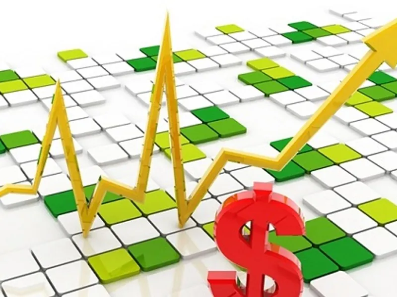 Người chơi đá gà 88 suy nghĩ chiến lược