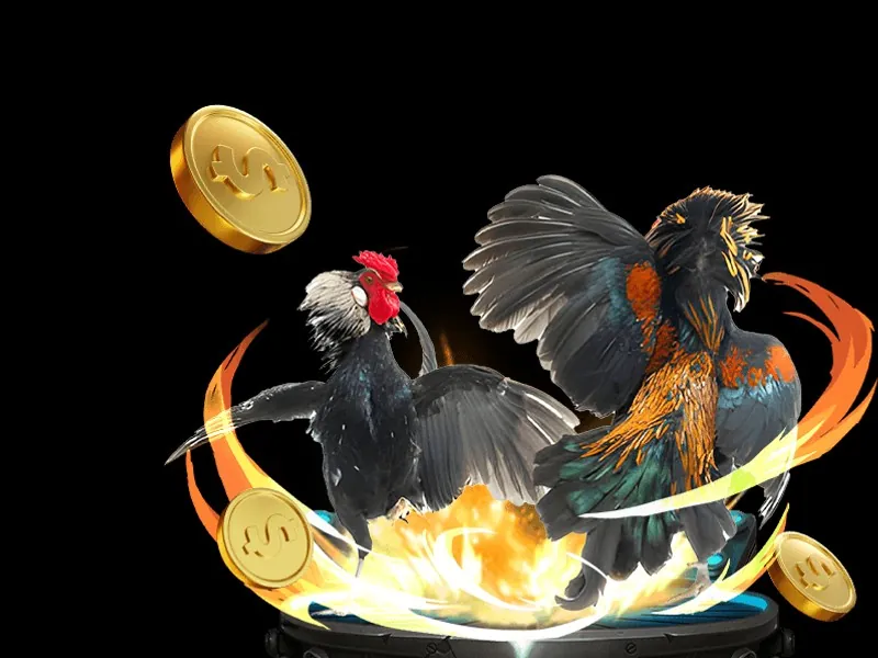 Các giống gà đá phổ biến