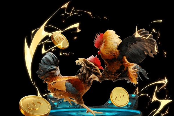 Hình ảnh minh họa các loại cược đá gà và giao diện thân thiện của Daga88